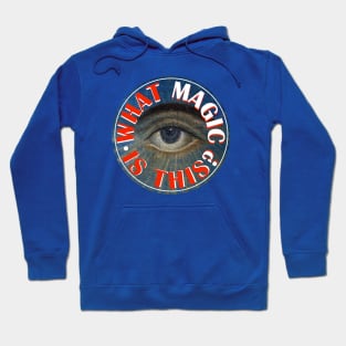 Eye of Providence Hoodie